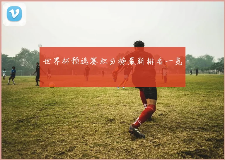 世界杯预选赛积分榜最新排名一览