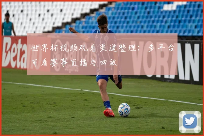 世界杯视频观看渠道整理：多平台可看赛事直播与回放