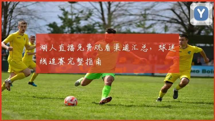 湖人直播免费观看渠道汇总，球迷线追赛完整指南