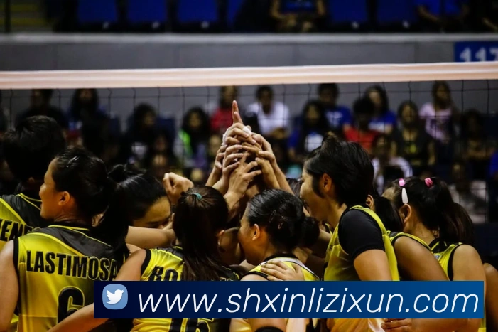 App Interface Preview