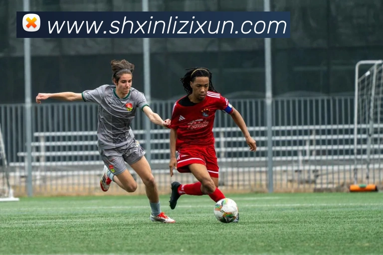 云开体育app官网入口appAPP 封面图